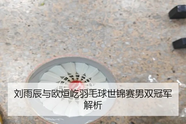 刘雨辰与欧烜屹羽毛球世锦赛男双冠军解析